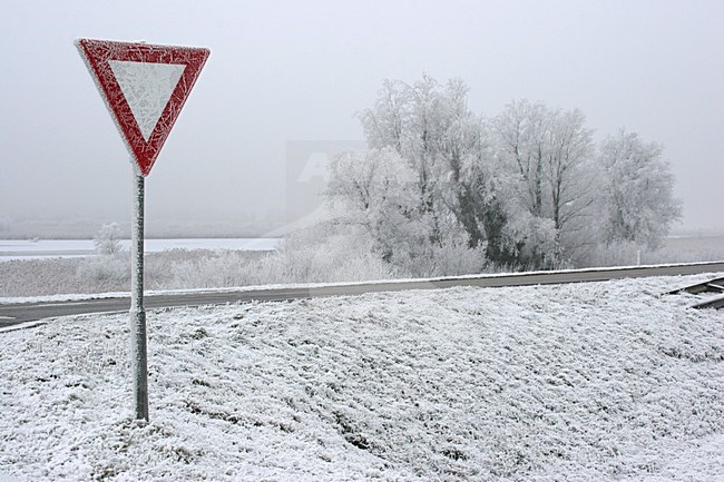 Lepelaarplassen Almere Netherlands covered in hoar-frost; Lepelaarplassen Almere Nederland bedekd met rijp stock-image by Agami/Karel Mauer,