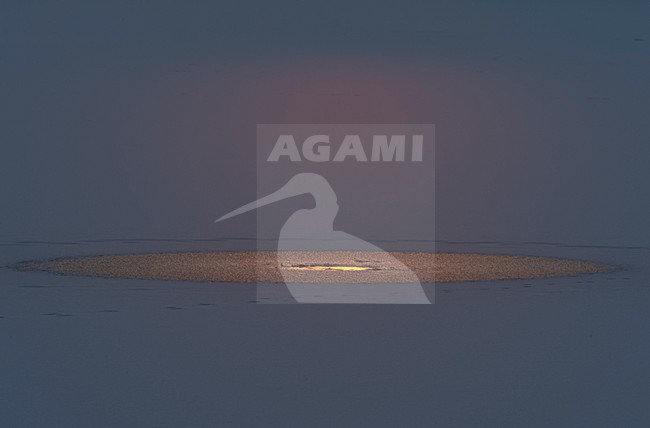 Wak in besneeuwde ijsvlakte, Hole in snow covered icefield stock-image by Agami/Rob de Jong,
