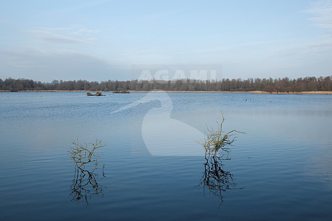 De Lepelaarsplassen stock-image by Agami/Roy de Haas,
