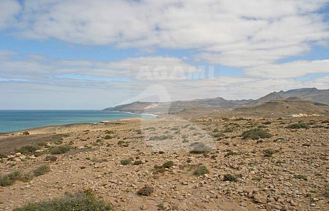 Landschap Fuerteventura; Landscape Fuerteventura stock-image by Agami/Bill Baston,
