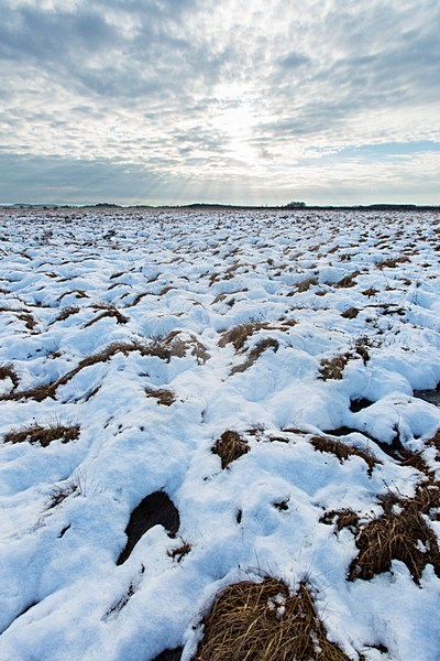 Winterlandschap FochteloÃ«rveen, winter landscape FochteloÃ«rveen stock-image by Agami/Wil Leurs,