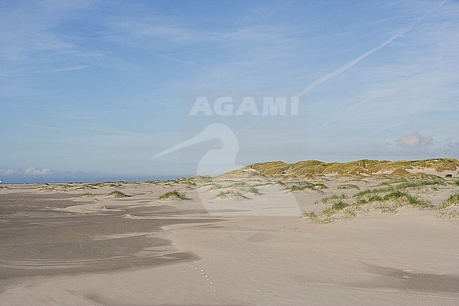 Overgang van duinen naar het strand; Transition of dunes to beach stock-image by Agami/Marc Guyt,