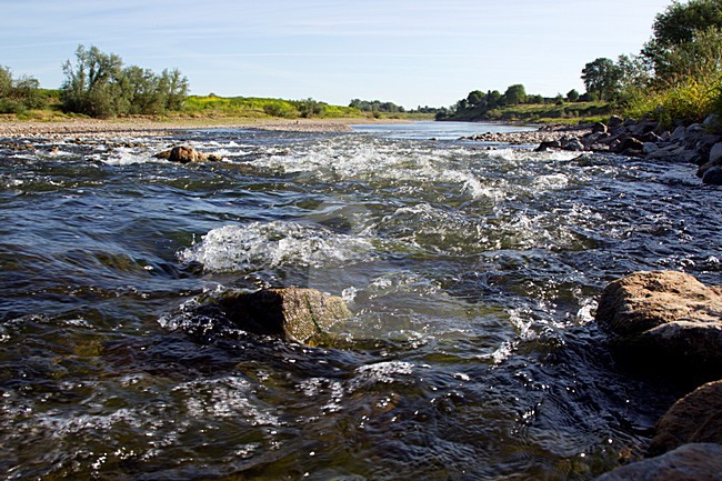 Grensmaas, Meers, Limburg; Nederland / Netherlands stock-image by Agami/Ran Schols,