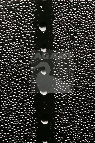 Condens op een raam, Condensation on a window stock-image by Agami/Menno van Duijn,