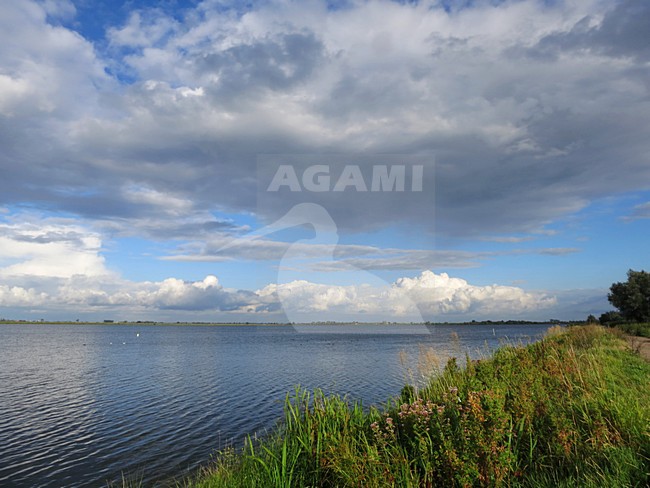 Reeuwijkse plassen, Nederland / Netherlands stock-image by Agami/Marc Guyt,