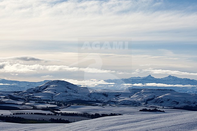 manual updated stock-image by Agami/Marc Guyt,