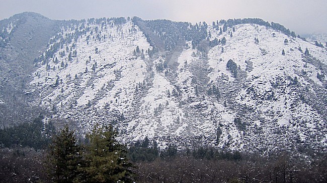 View on snow covered mountain from Dachigam in Srinigar, Kashmir, India stock-image by Agami/James Eaton,