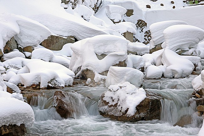Japanese macaque (Macaca fuscata) habitat in Jigokudani Monkey Park, Japan. Fast flowing snow covered river. stock-image by Agami/Pete Morris,