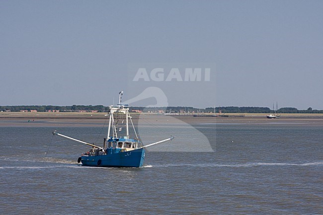 Waddenzee, Schiermonnikoog stock-image by Agami/Bas Haasnoot,