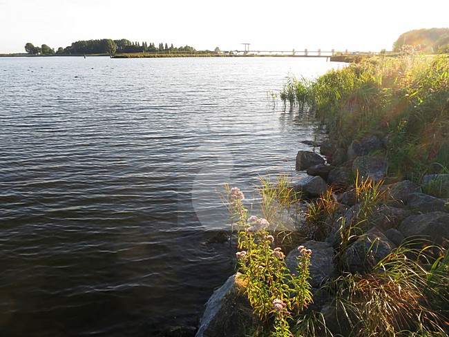 Nuldernauw, Veluwerandmeer; Nederland / Netherlands stock-image by Agami/Marc Guyt,