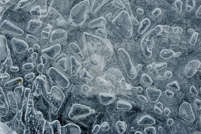 IJskristallen, Ice crystals stock-image by Agami/Menno van Duijn,