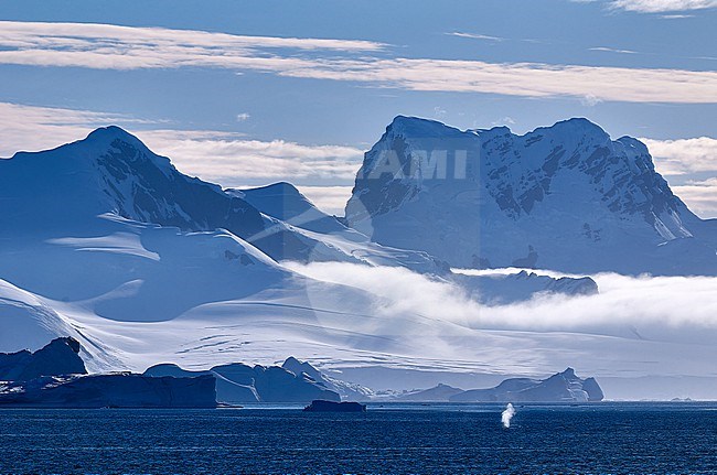 A whale exhales under cliffs in Paradise Bay, Antarctica stock-image by Agami/Tomas Grim,