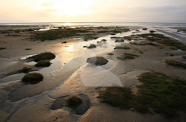 Schiermonnikoog tijdens laag tij. Schiermonnikoog during low tide. stock-image by Agami/Jacques van der Neut,
