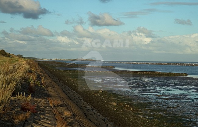  stock-image by Agami/Marc Guyt,