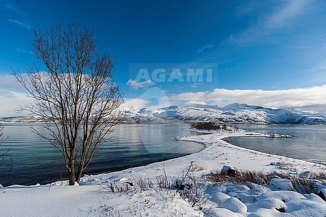 A scenic snowy fjord near Lodingen. Lodingen, Lofoten Islands, Nordland, Norway. stock-image by Agami/Sergio Pitamitz,