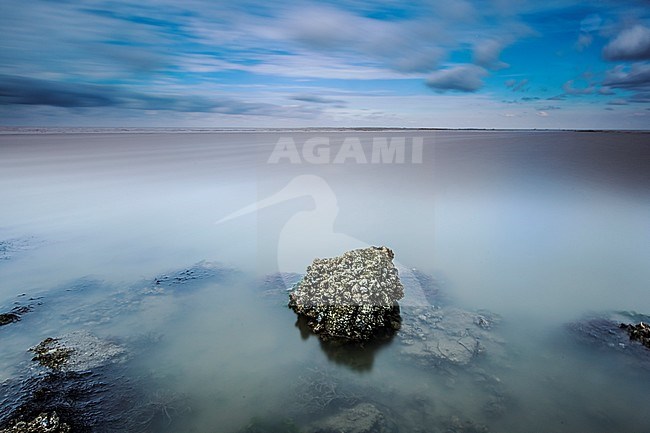 Estuary Dutch Wadden Sea stock-image by Agami/Wil Leurs,