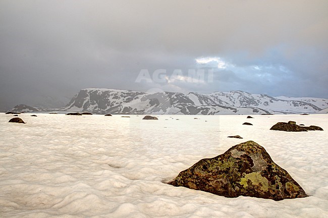 Jotunheimen Noorwegen 2012 stock-image by Agami/Rob Riemer,