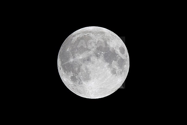 Volle maan in close up; Full moon close up stock-image by Agami/Harvey van Diek,