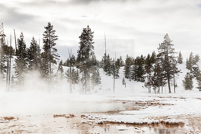 Hotspring at Old Faithful area in Yellowstone National Park stock-image by Agami/Caroline Piek,