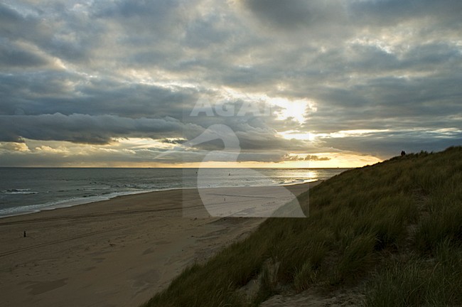 Waddeneiland Vlieland, Nederland / Nederlands stock-image by Agami/Marc Guyt,