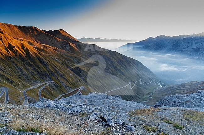Stelvio Pass with mountains covered in snow and a winding road in the valley stock-image by Agami/Saverio Gatto,