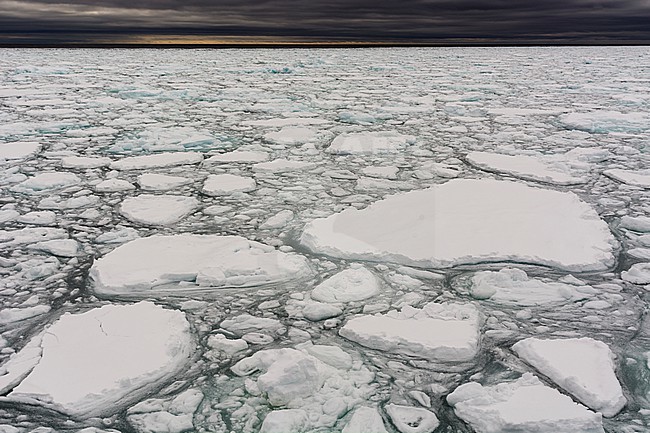 A view of melting sea ice on the Arctic ocean. North polar ice cap, Arctic ocean stock-image by Agami/Sergio Pitamitz,