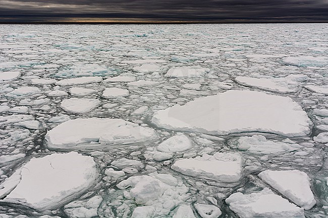 A view of melting sea ice on the Arctic ocean. North polar ice cap, Arctic ocean stock-image by Agami/Sergio Pitamitz,