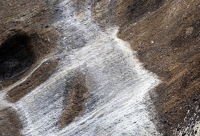 Detail of cliff on South East Island, Chatham Islands, New Zealand. stock-image by Agami/Marc Guyt,