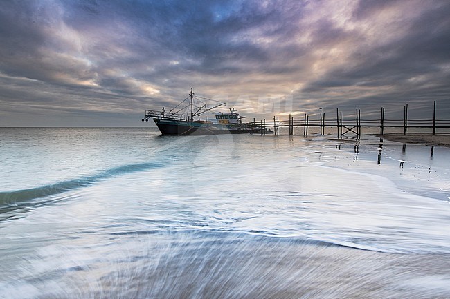 Wooden Scaffolding on Texel stock-image by Agami/Wil Leurs,