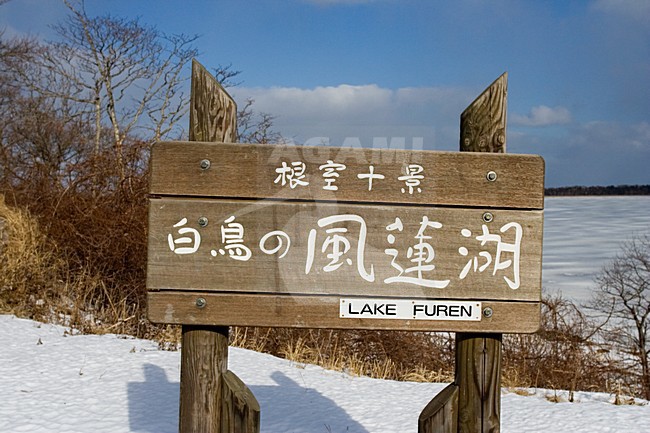 Furenmeer in Japan; Lake Furen in Japan stock-image by Agami/Marc Guyt,