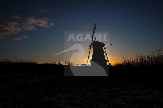 Dutch windmill in the early morning light. stock-image by Agami/Wil Leurs,