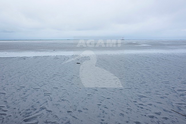Wadden sea, Westerhever, Germany stock-image by Agami/Ralph Martin,