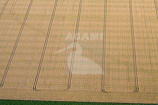 Luchtfoto van de Flevopolder; Aerial photo of the Flevopolder stock-image by Agami/Marc Guyt,