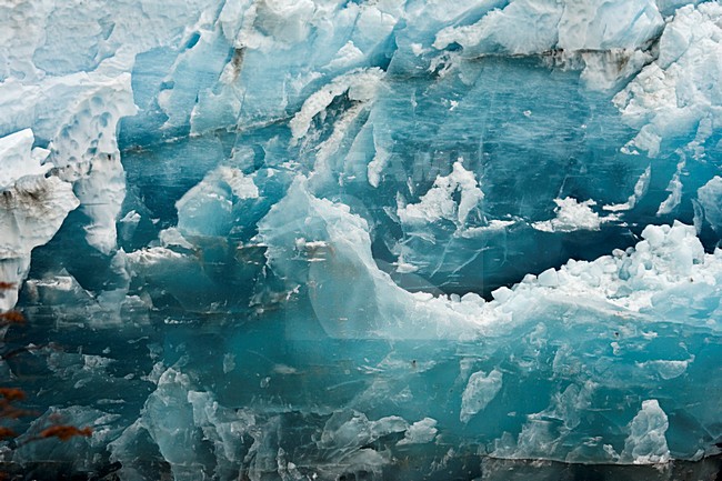 detail glacier, Los Glacieres, National park, Argentina stock-image by Agami/Marc Guyt,