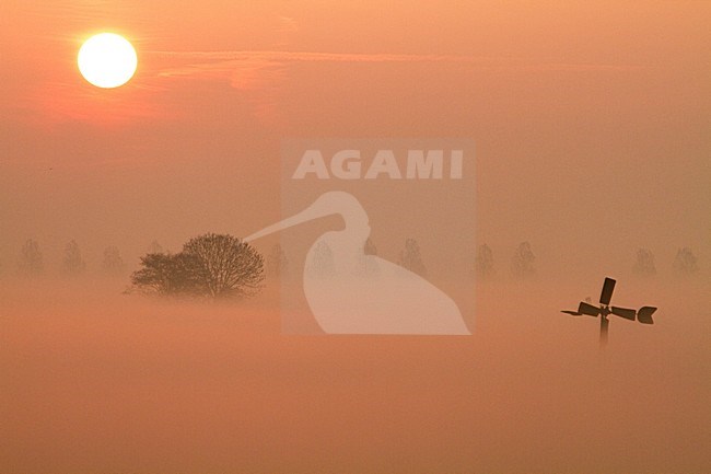 Zonsopkomst met weiland, Sunrise with meadow stock-image by Agami/Menno van Duijn,