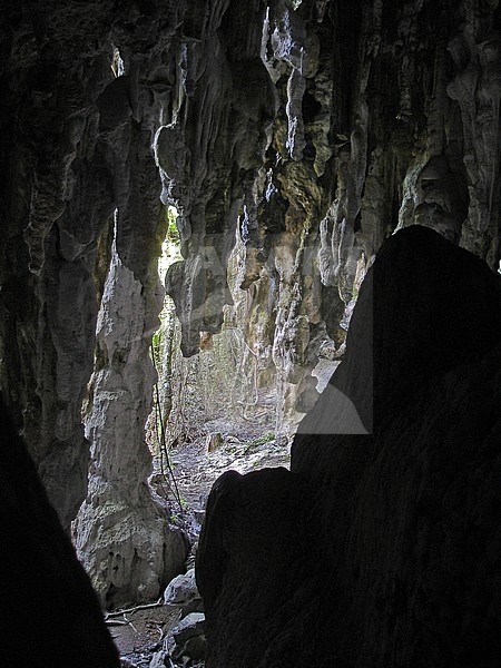 Scenery Mangaia Caves, Polynesia stock-image by Agami/Pete Morris,