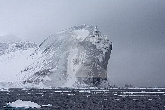 Weddelzee, Weddel Sea stock-image by Agami/Marc Guyt,