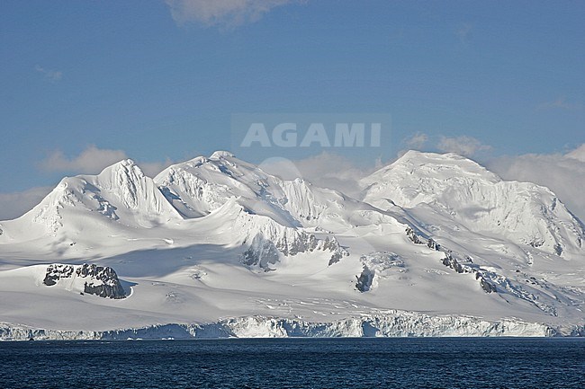Scenery Half Moon island, Antarctica stock-image by Agami/Pete Morris,