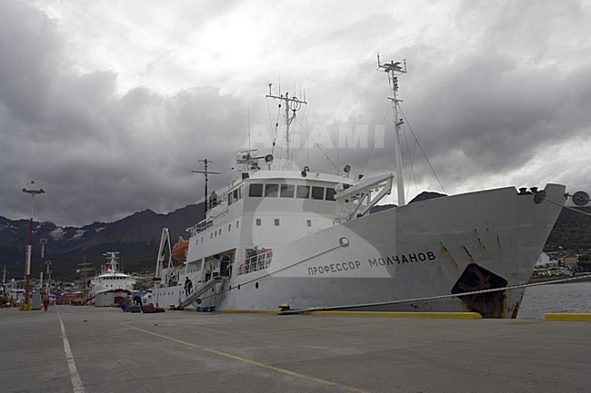 De Molchanov in de haven van Ushuaia; The Molchanov anchored at Ushuaia stock-image by Agami/Marc Guyt,