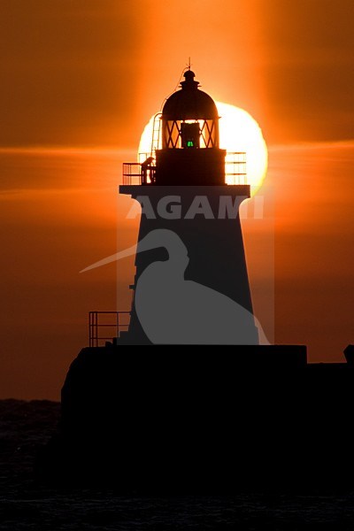 Vuurtoren tijdens zonsondergang op Hokkaido, Lighthouse at sunset on Hokkaido stock-image by Agami/Marc Guyt,