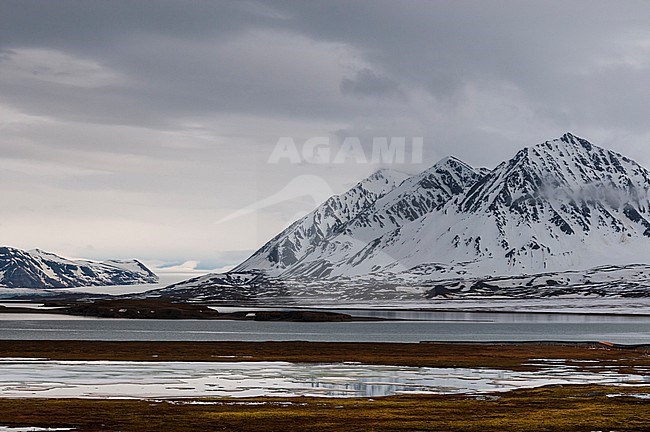 A scenic view of mountains and arctic waters at Ny-Alesund on Kongsfjorden. Ny-Alesund, Kongsfjorden Spitsbergen Island, Svalbard, Norway. stock-image by Agami/Sergio Pitamitz,