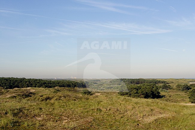 Dunes Wassenaarse Slag Wassenaar Netherlands, Duinen Wassenaarse slag Wassenaar Nederland stock-image by Agami/Marc Guyt,
