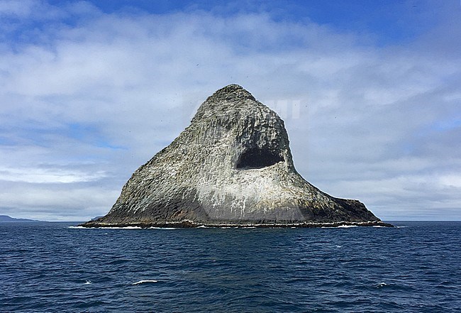 Pyramid Rock in the Chatham islands, New Zealand. The only breeding site of the Chatham Albatross. stock-image by Agami/Marc Guyt,