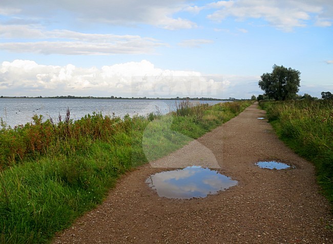 Reeuwijkse plassen, Nederland / Netherlands stock-image by Agami/Marc Guyt,
