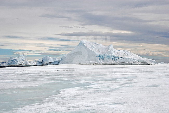 Snow Hill Island, Antarctica stock-image by Agami/Pete Morris,
