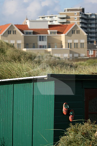 Dunes of Six coastal village Egmond aan Zee Netherlands; Duinen van Six kustdorp Egmond aan Zee Nederland stock-image by Agami/Marc Guyt,