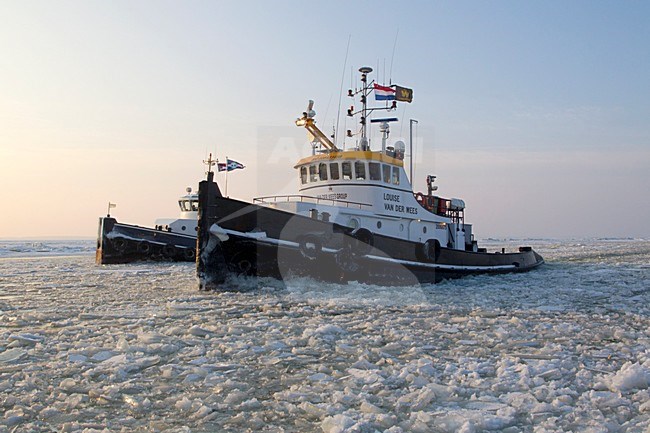 Tocht met ijsbreker van Amsterdam naar Urk, Trip from Amsterdam to Urk with icebreaker stock-image by Agami/Wil Leurs,