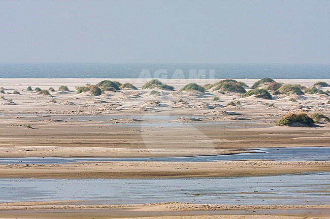 Dunes of Wadden Island Amrum, Germany. stock-image by Agami/Ralph Martin,