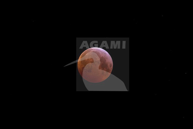 Blood Moon in total lunar eclipse in the Netherlands. stock-image by Agami/Theo Douma,