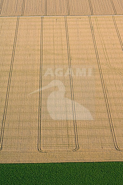 Luchtfoto van de Flevopolder; Aerial photo of the Flevopolder stock-image by Agami/Marc Guyt,